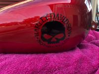 Sporty Decal 2020.jpg Sporty Decal 2020.jpg